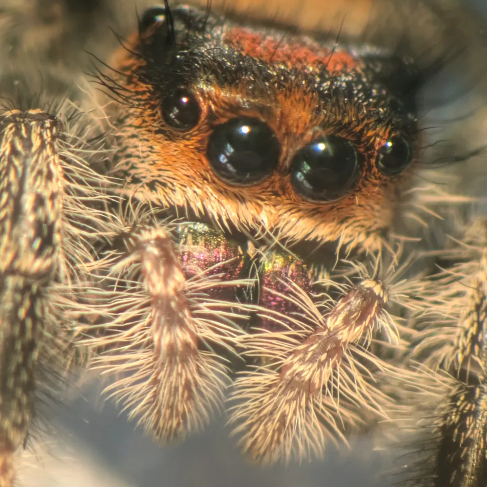 soren-lorenson.bsky.social's profile picture