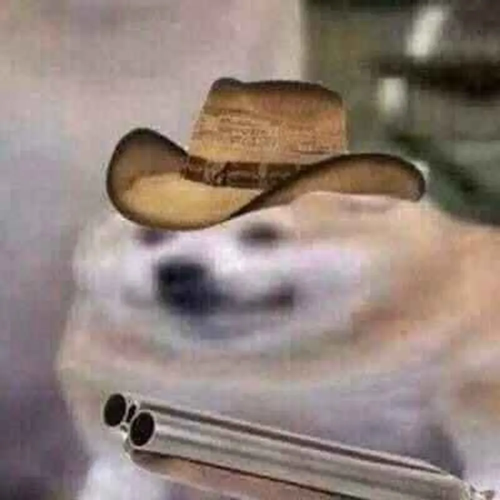 livin-in-your-shed.bsky.social's profile picture