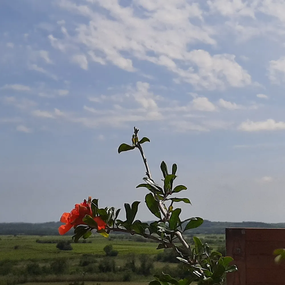 arbrav.eurosky.social's profile picture