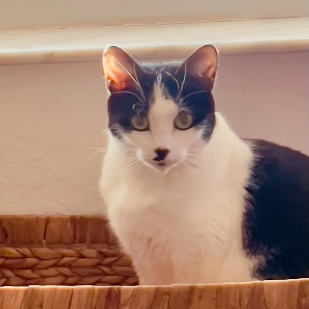 bunky260.bsky.social's profile picture