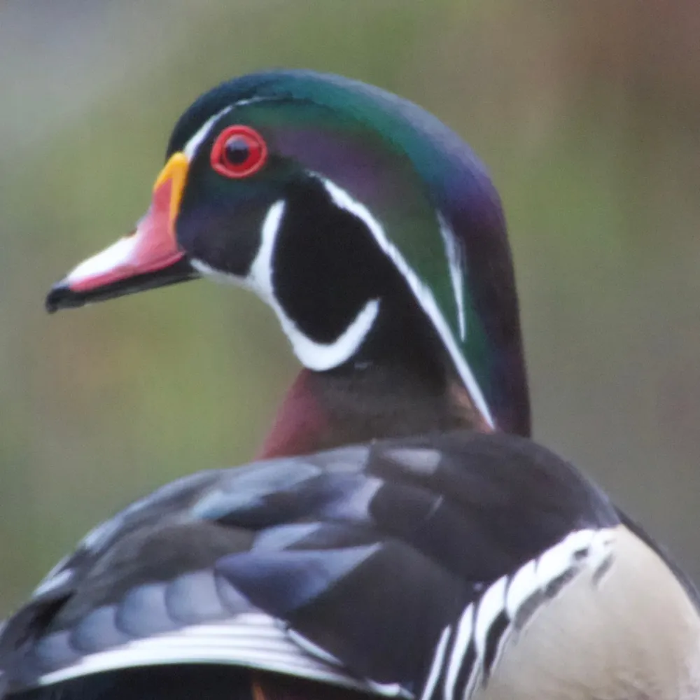 normalleigh53.bsky.social's profile picture