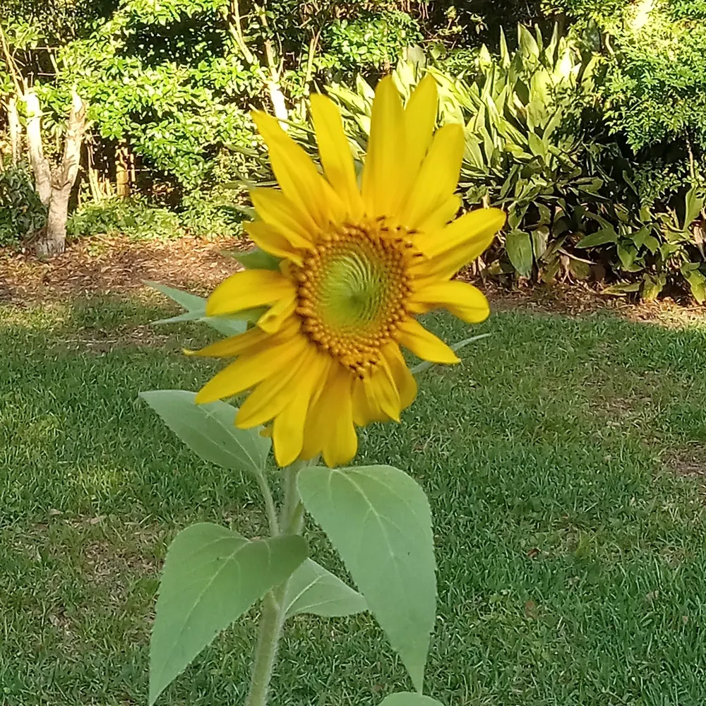 willieb108.bsky.social's profile picture