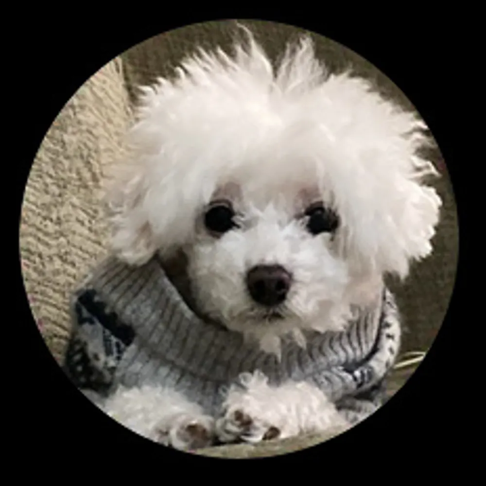 graceomalley.bsky.social's profile picture