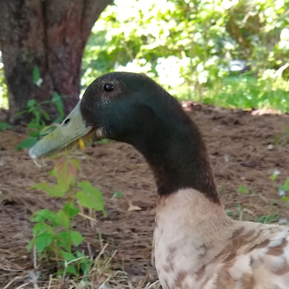 terrywithwhy.bsky.social's profile picture