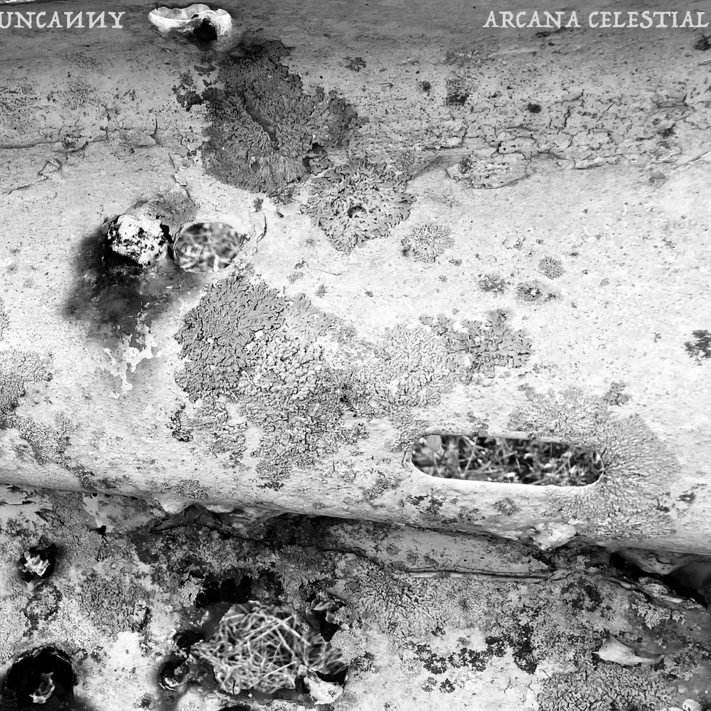 uncanny305.bandcamp.com's profile picture