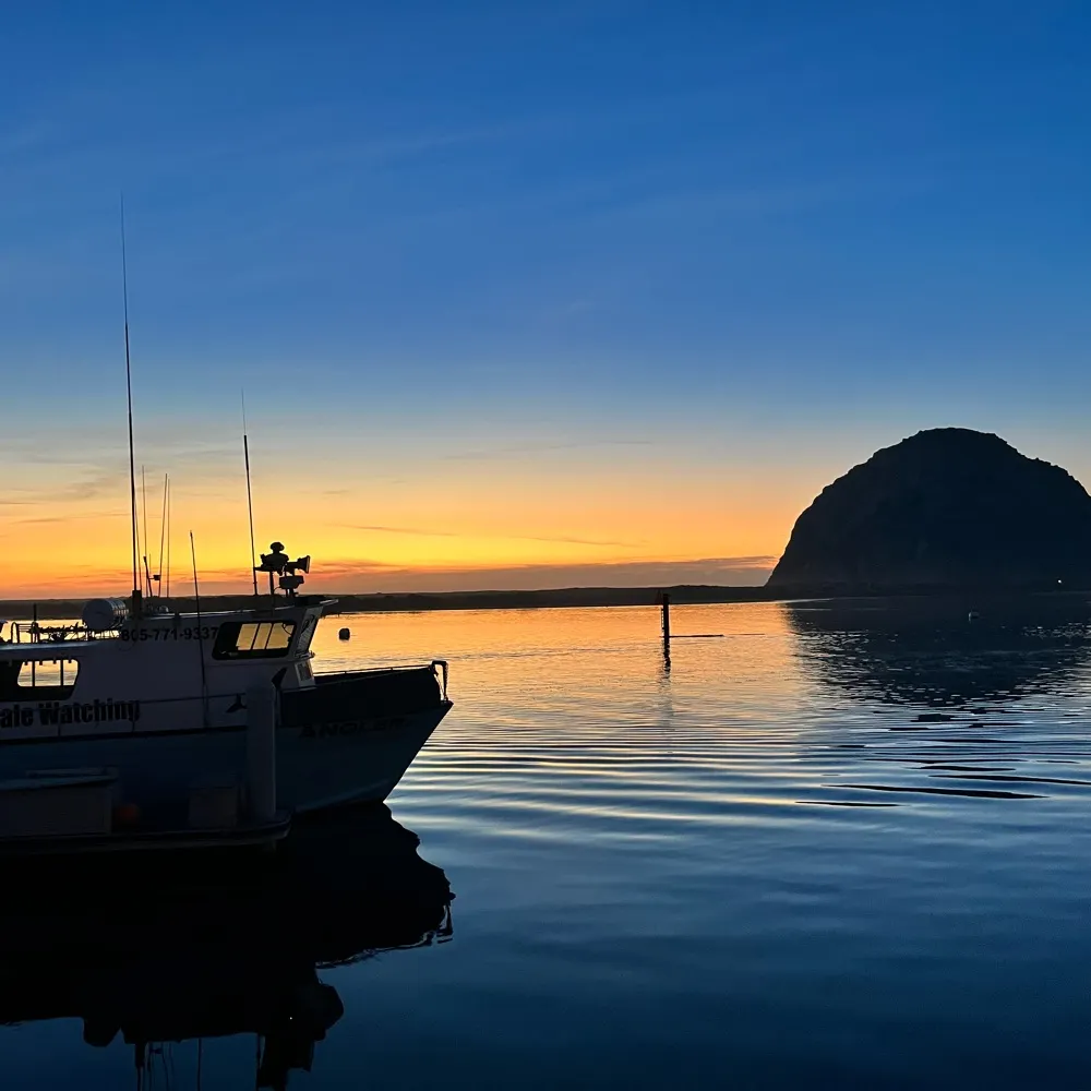 mimifellini.bsky.social's profile picture