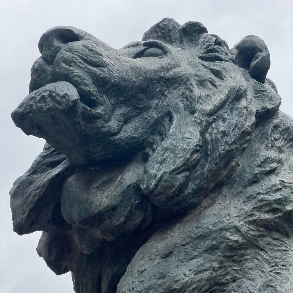 ambassadoreast.bsky.social's profile picture