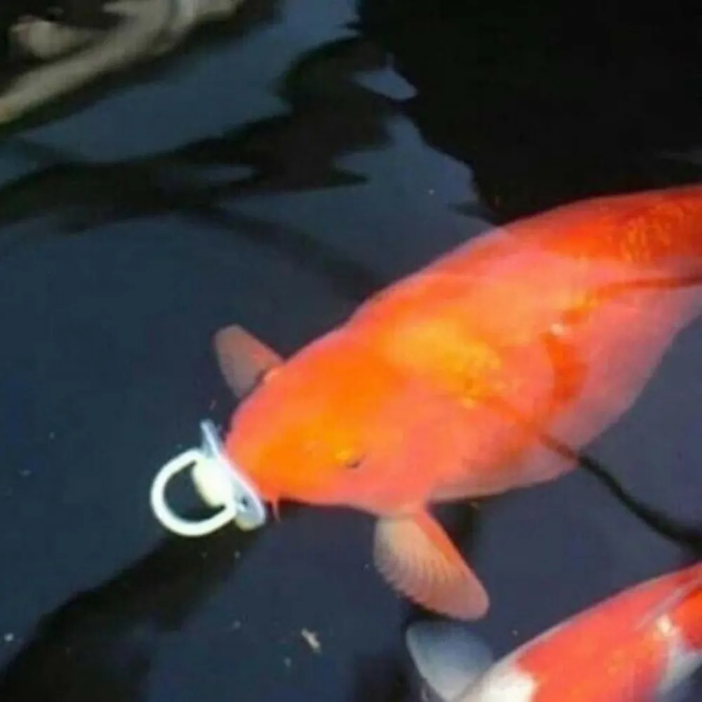 kitsuneoreos.bsky.social's profile picture