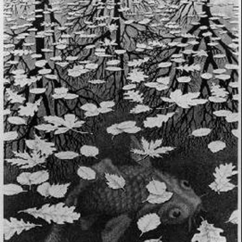 ignatzfattis.bsky.social's profile picture