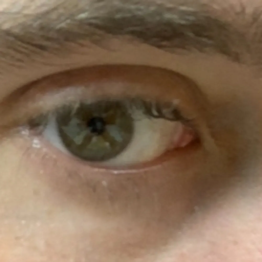 bluelion70.bsky.social's profile picture