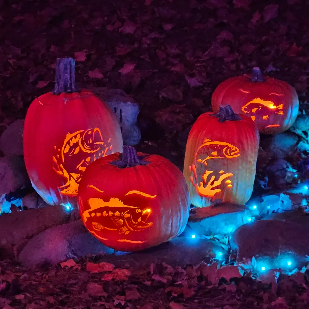 freespirit27284.bsky.social's profile picture