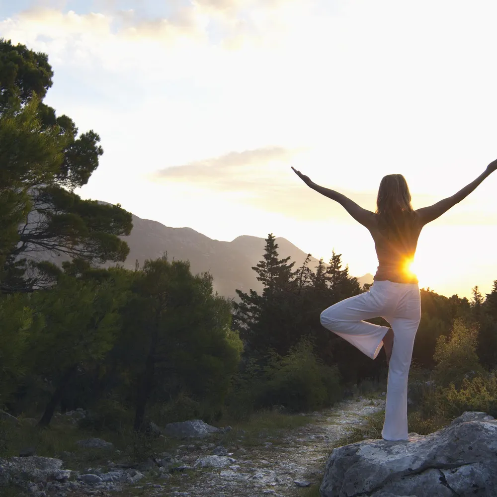 do-no-harm1.bsky.social's profile picture