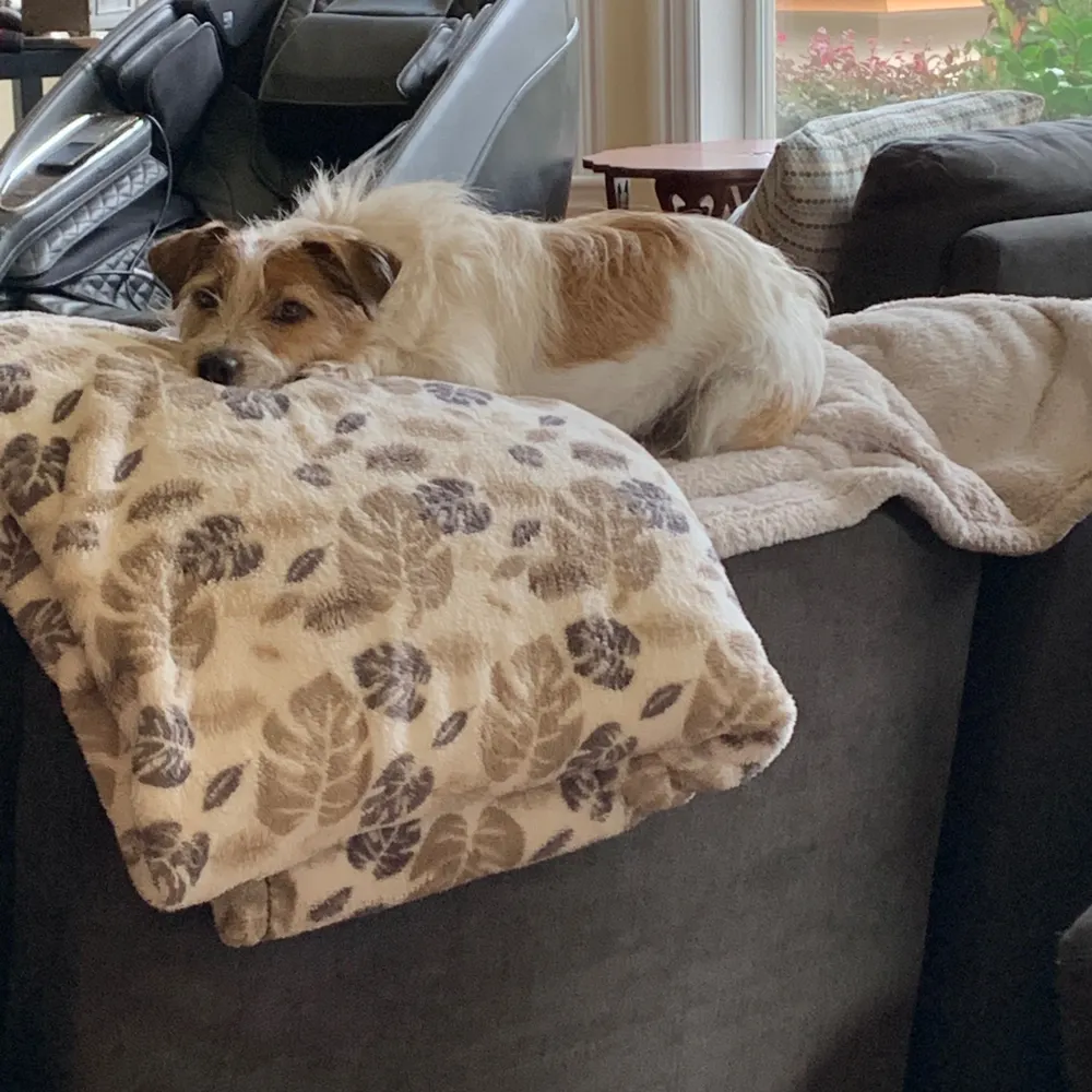 solarsunfire.bsky.social's profile picture