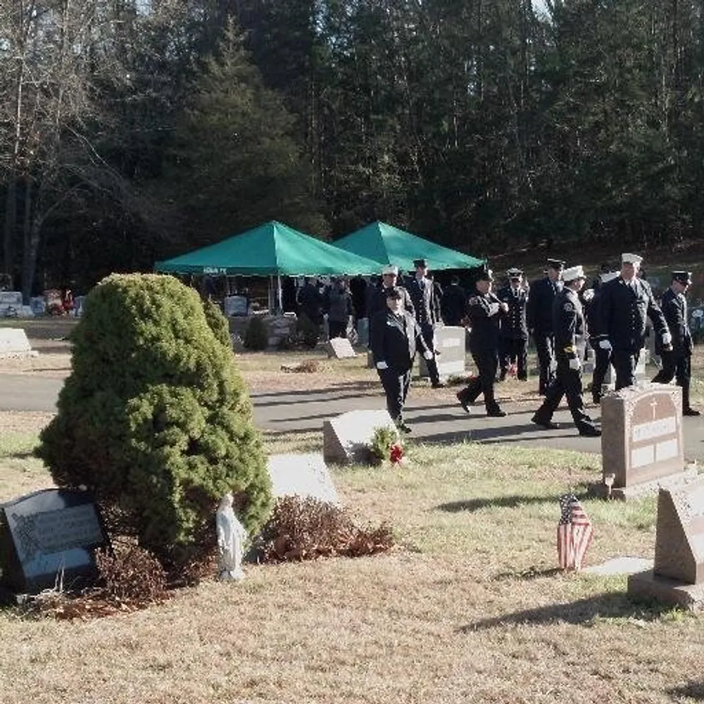 dishcommish.bsky.social's profile picture