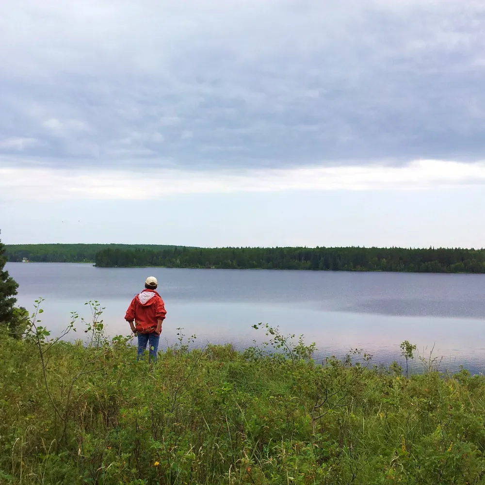 spiritsofland.bsky.social's profile picture