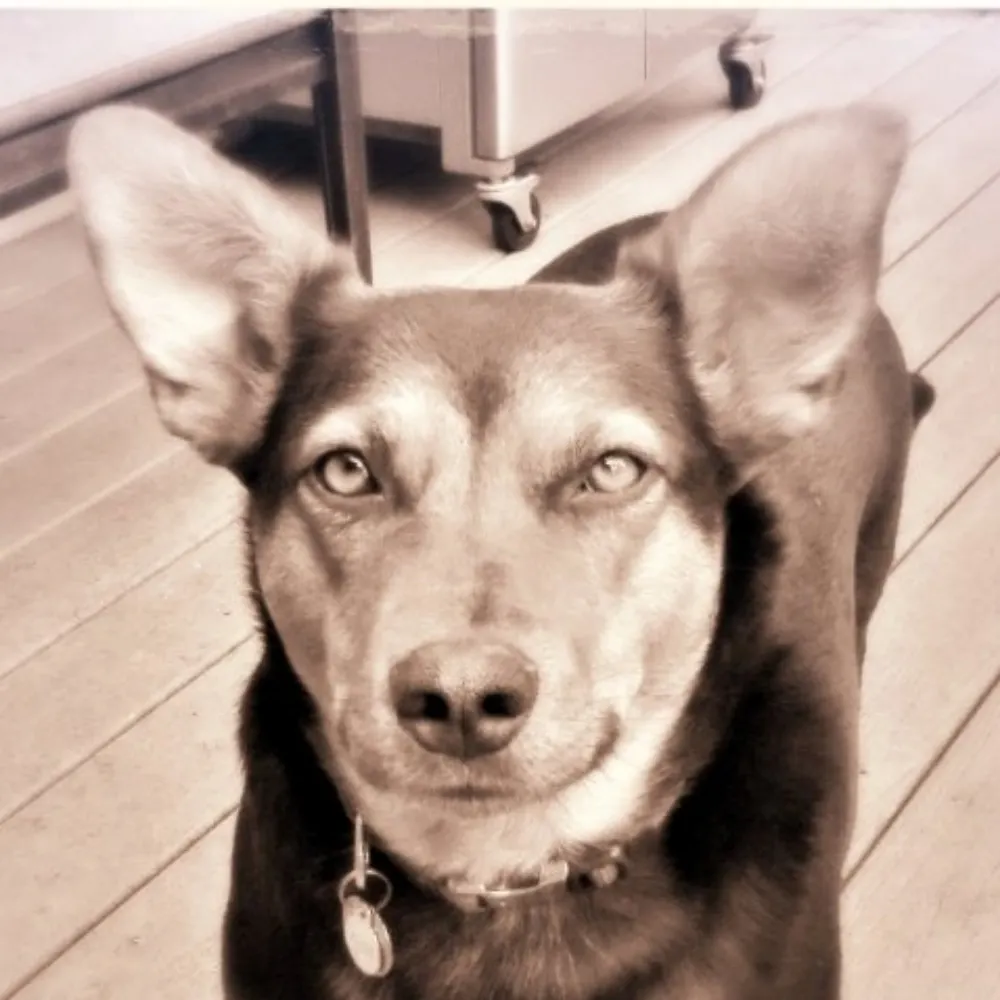 scott-christy.bsky.social's profile picture