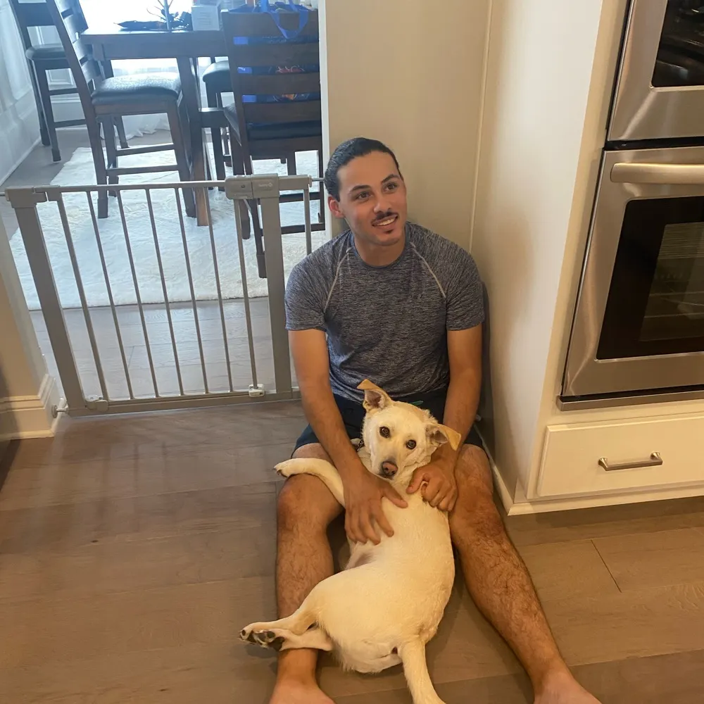 cheers464646.bsky.social's profile picture