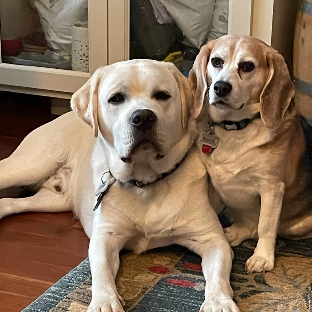 onabelle.bsky.social's profile picture