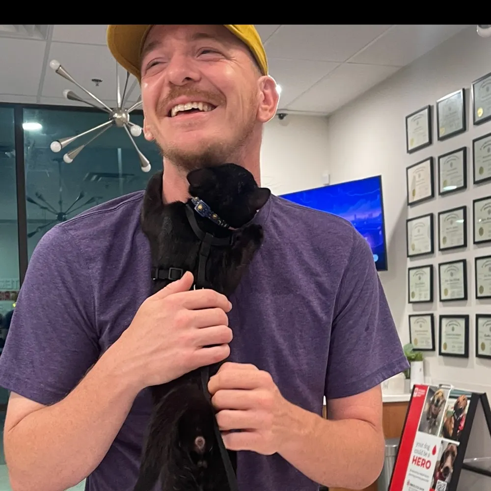 seansnake.bsky.social's profile picture