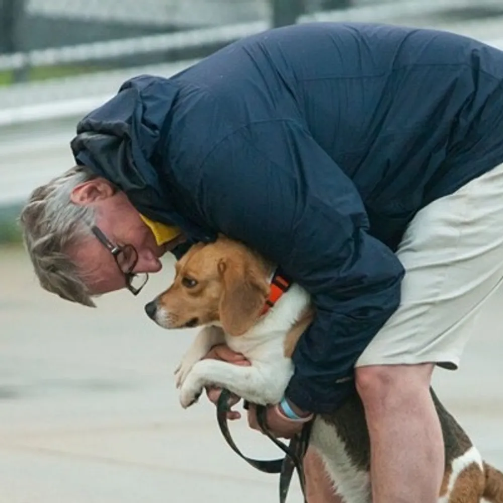 andygoblue.bsky.social's profile picture