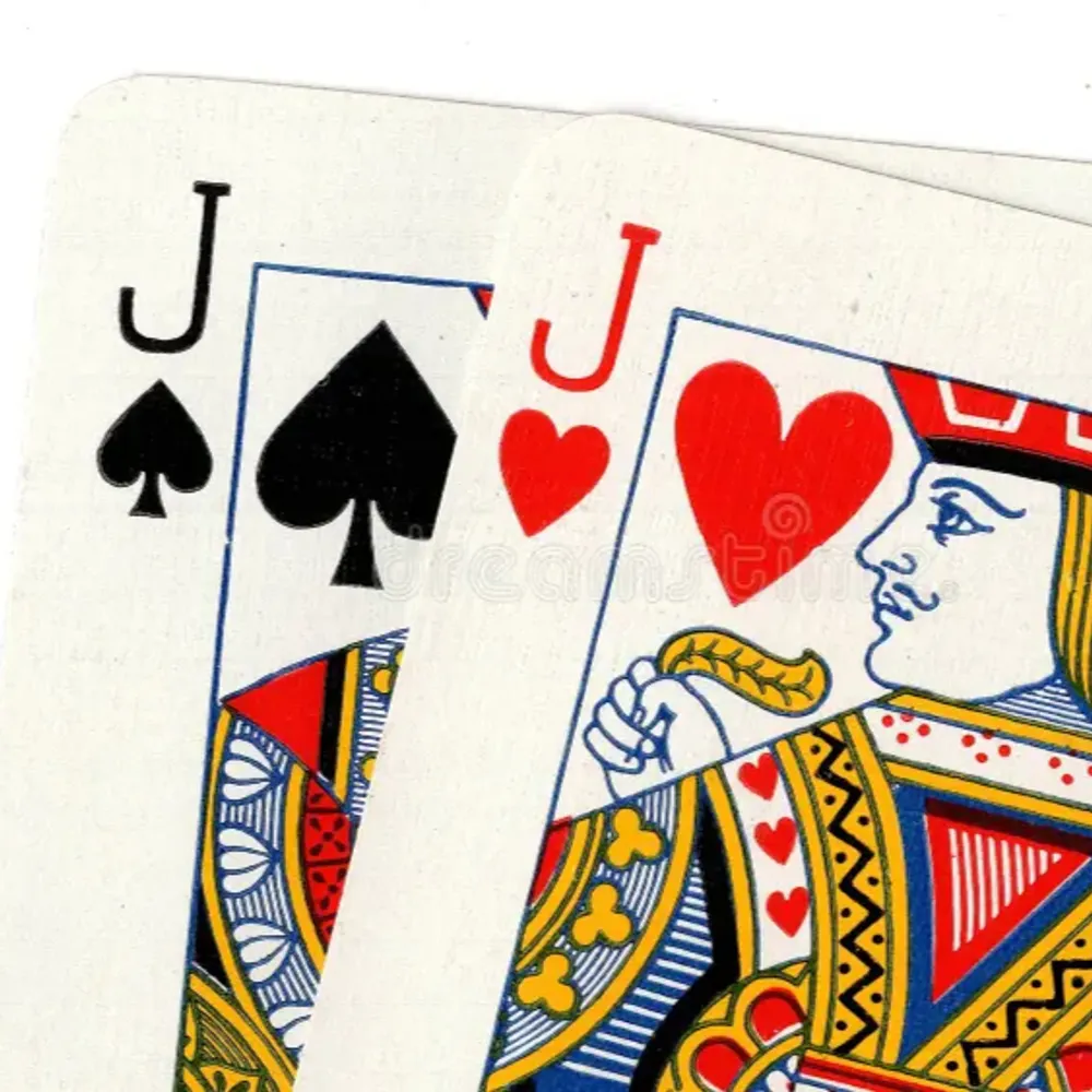 gayknaves.bsky.social's profile picture