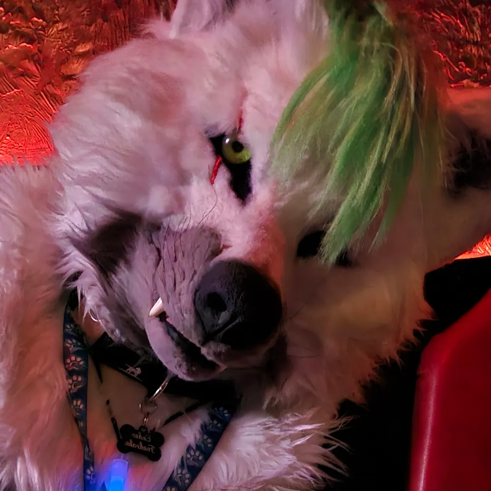 enderfaedrake.bsky.social's profile picture