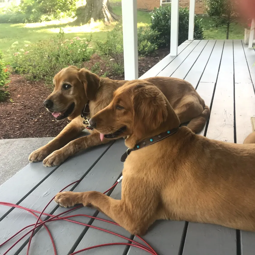 donnagv7.bsky.social's profile picture