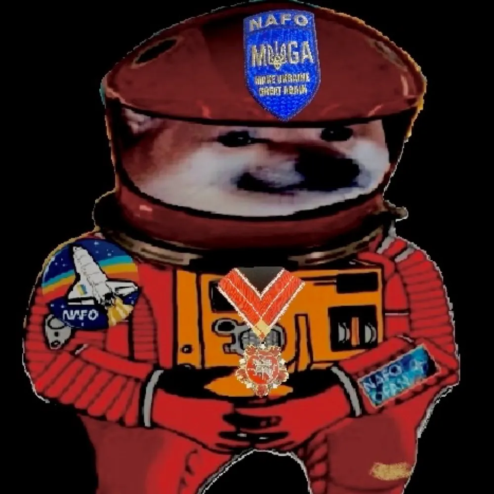 fly44d.bsky.social's profile picture