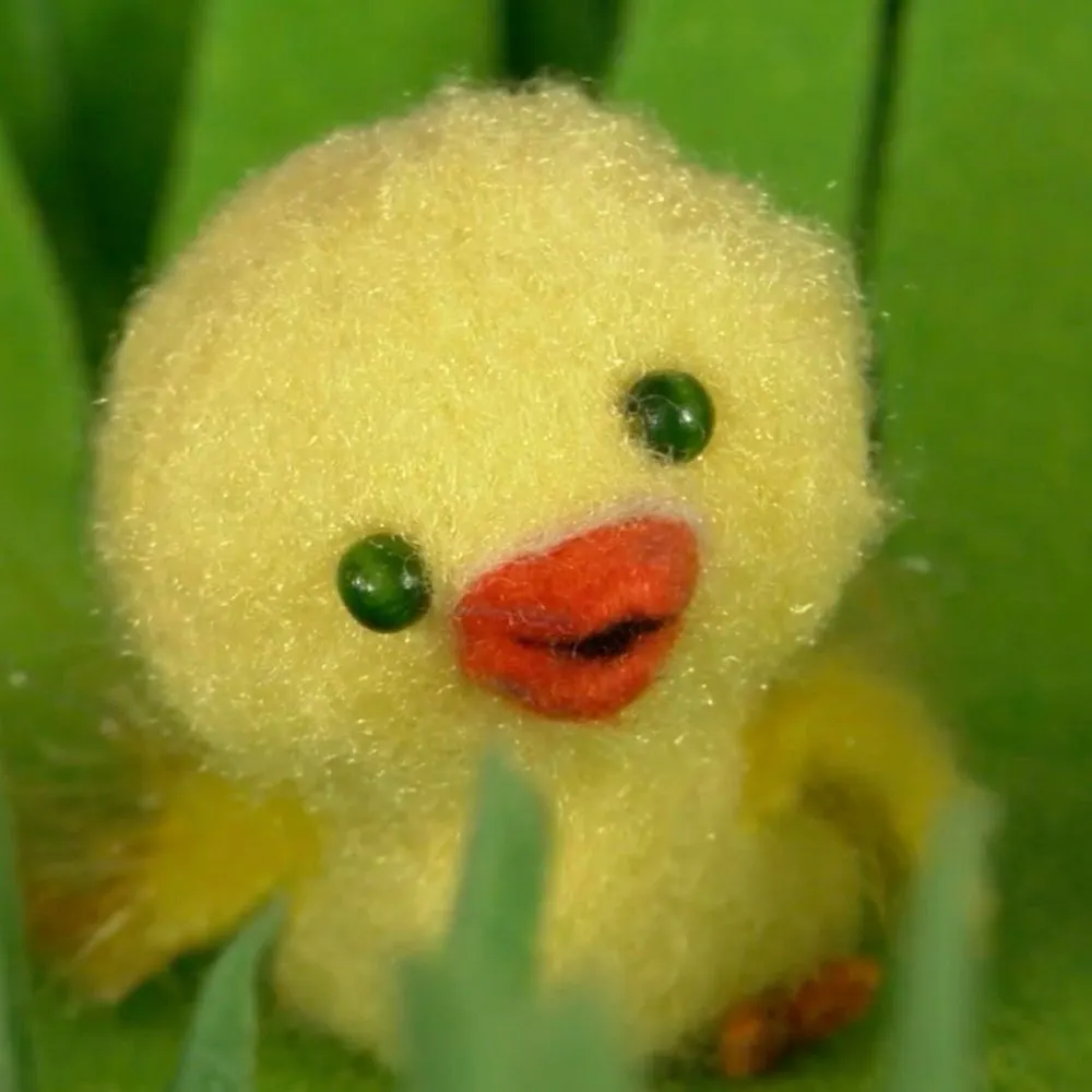 scooby.eurosky.social's profile picture