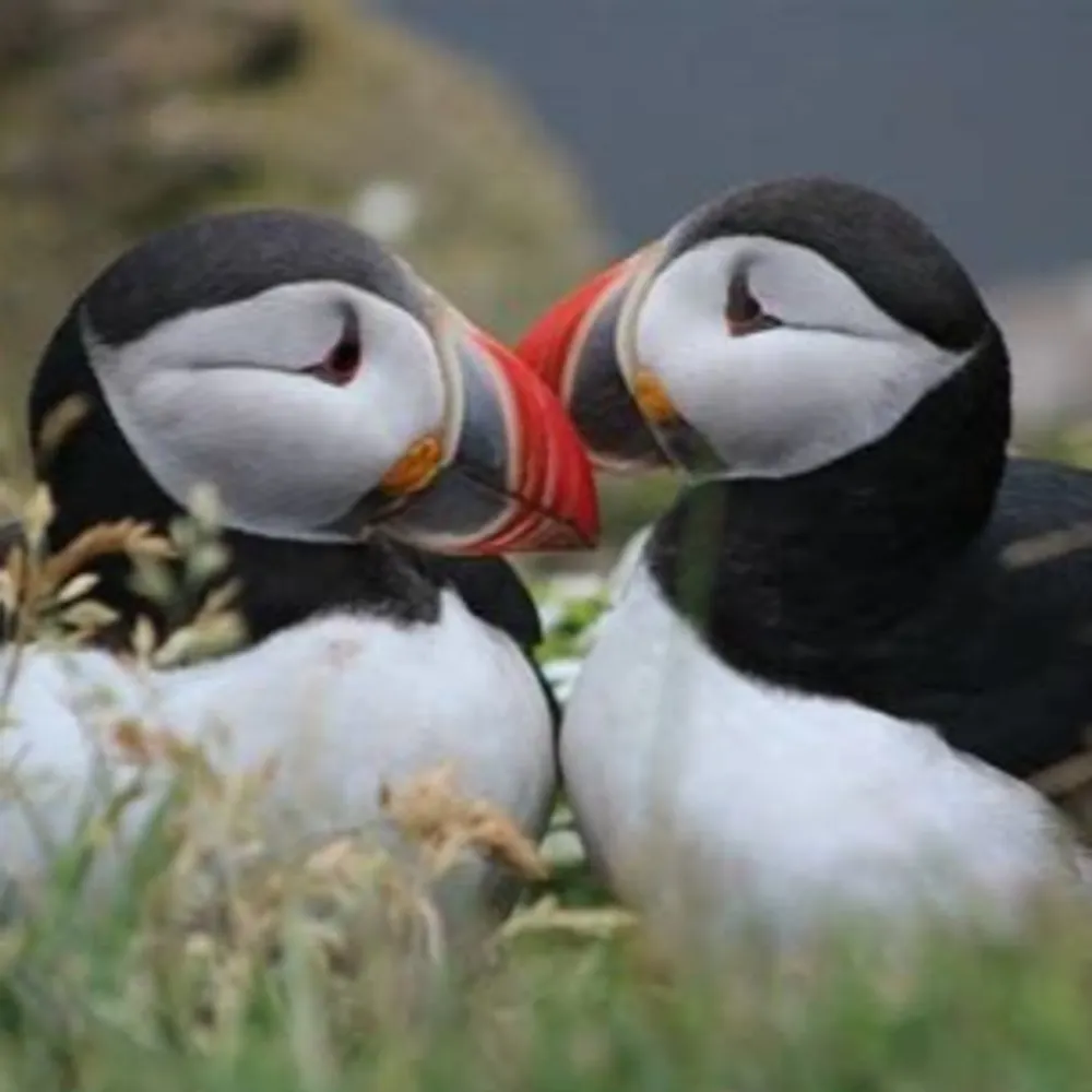 laserhundreds.bsky.social's profile picture