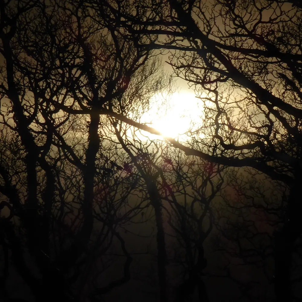 itsallgood303.bsky.social's profile picture