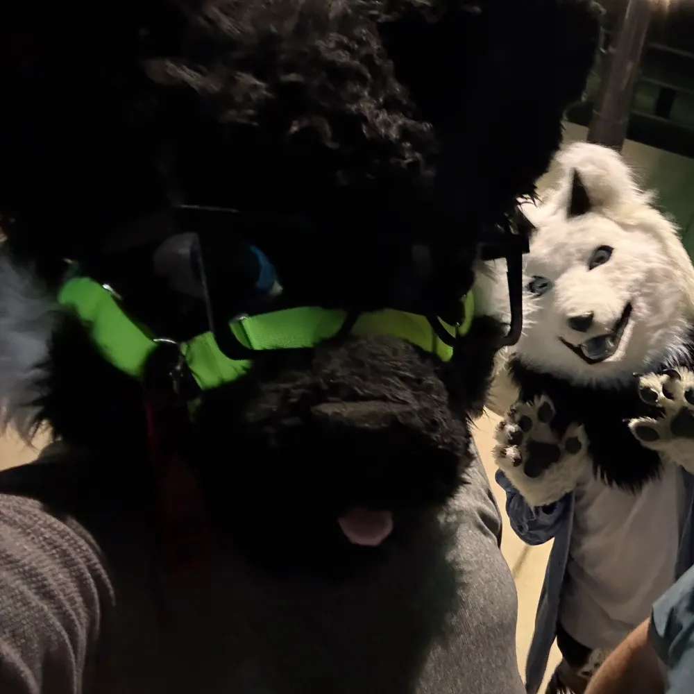 astathebluewolf.bsky.social's profile picture