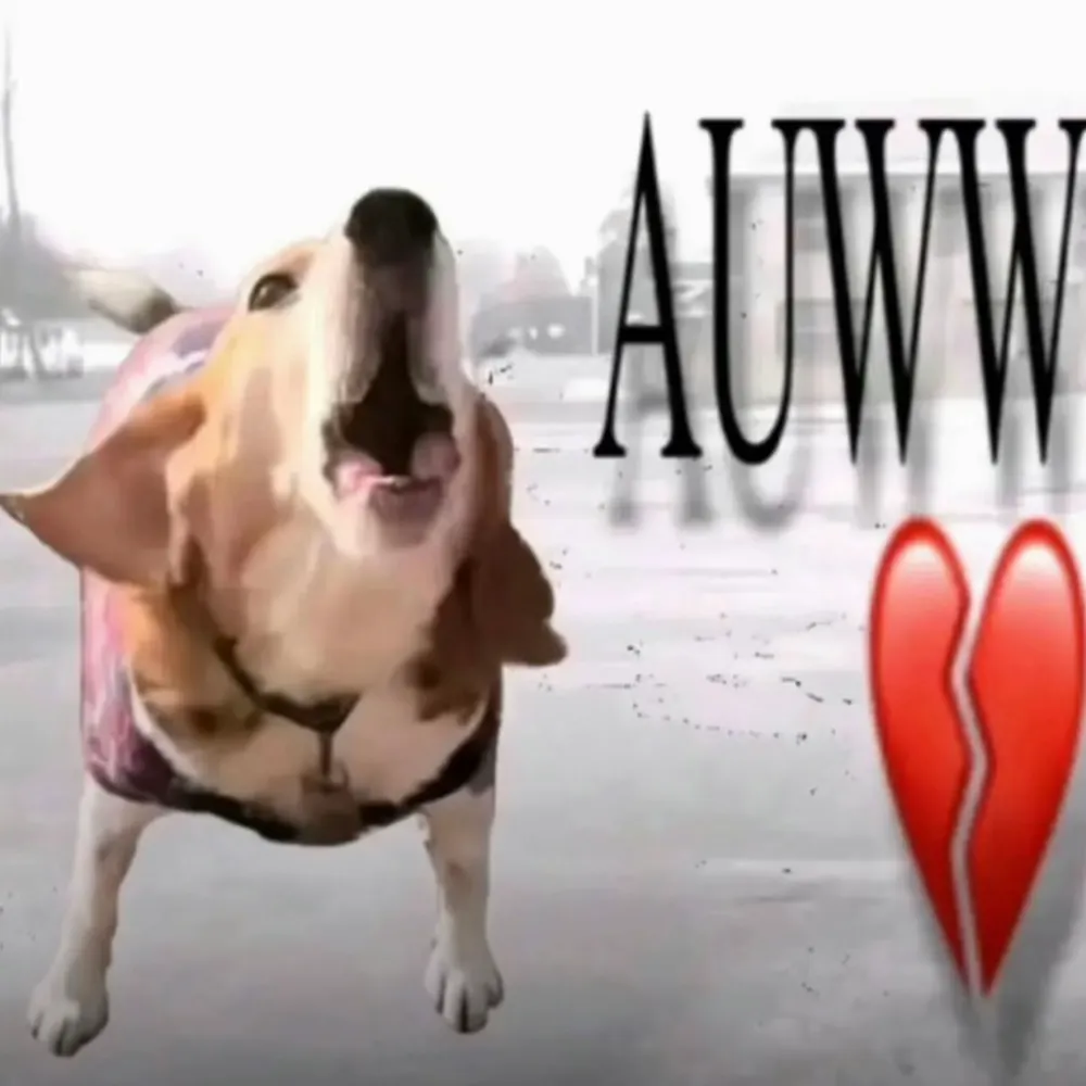 sierravista8.bsky.social's profile picture