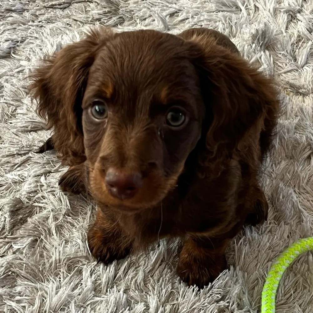 cybercusp.bsky.social's profile picture