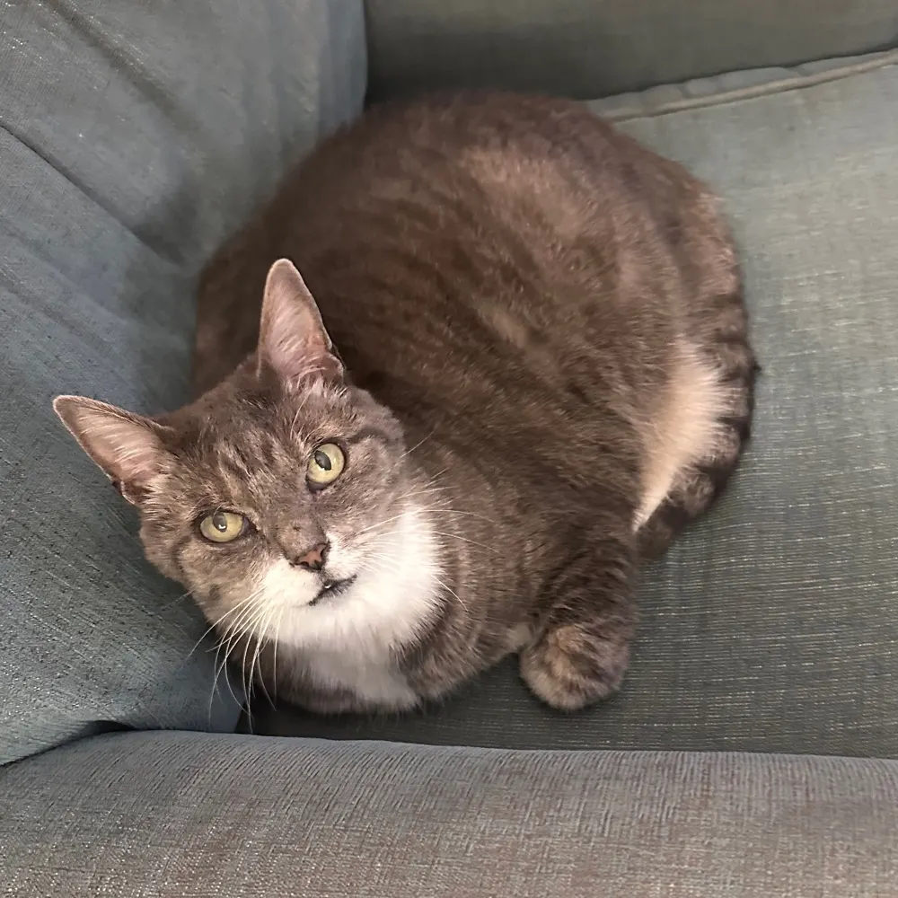 kh2273.bsky.social's profile picture