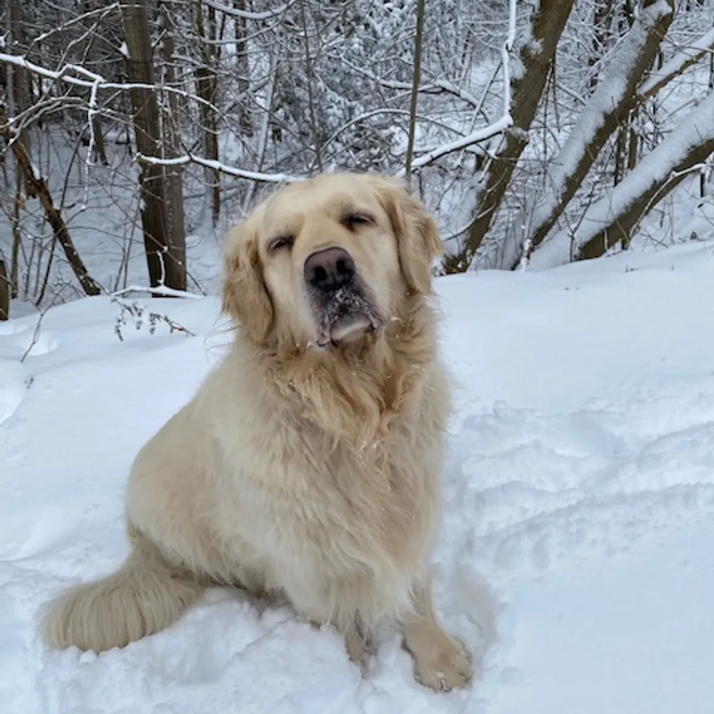 halfbackjack.bsky.social's profile picture