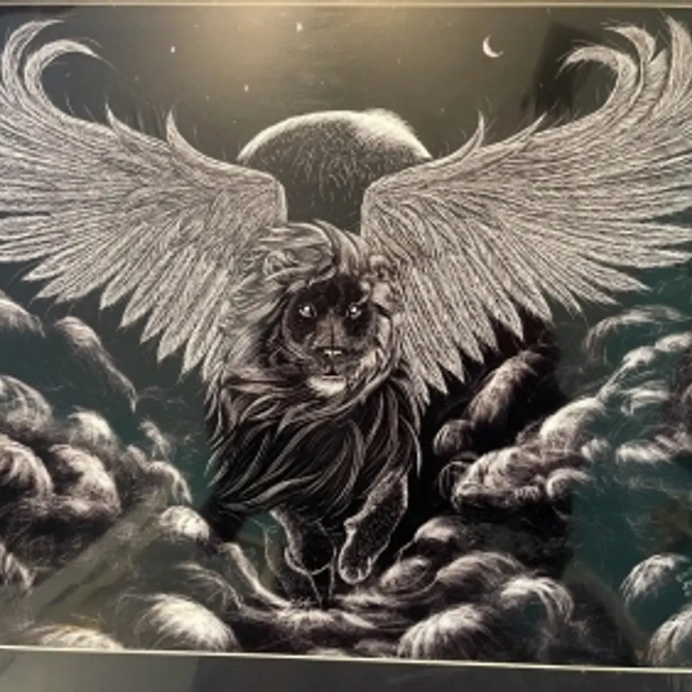 rohangretnsr.bsky.social's profile picture