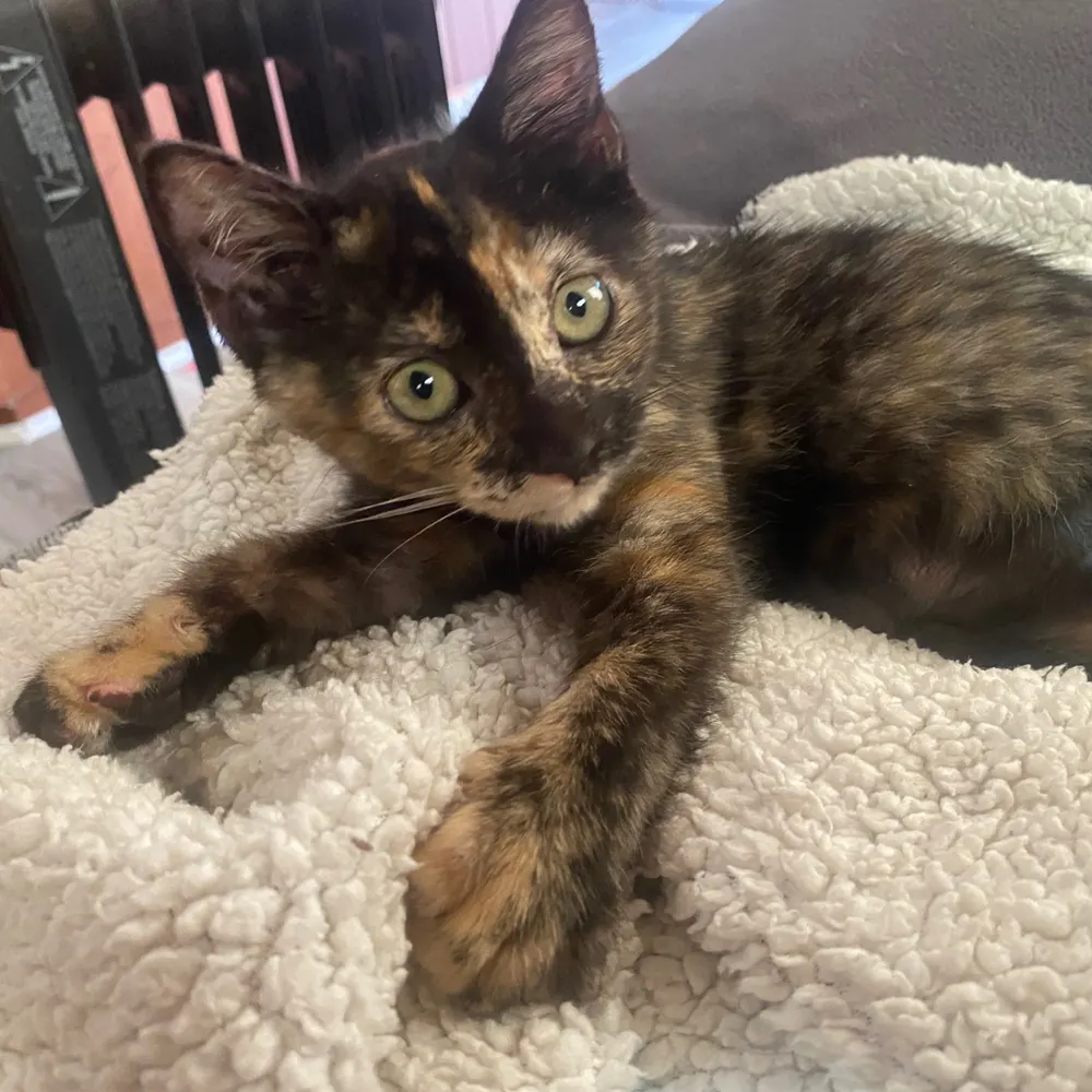 zanegray24.bsky.social's profile picture