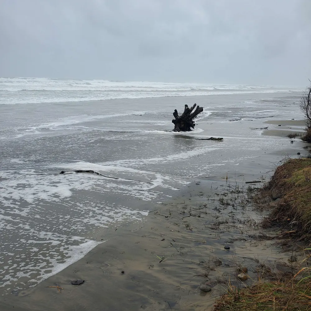 drsmutt.bsky.social's profile picture