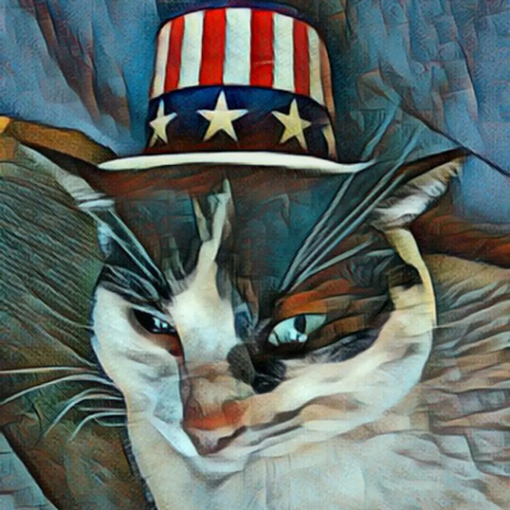 frankieface15.bsky.social's profile picture