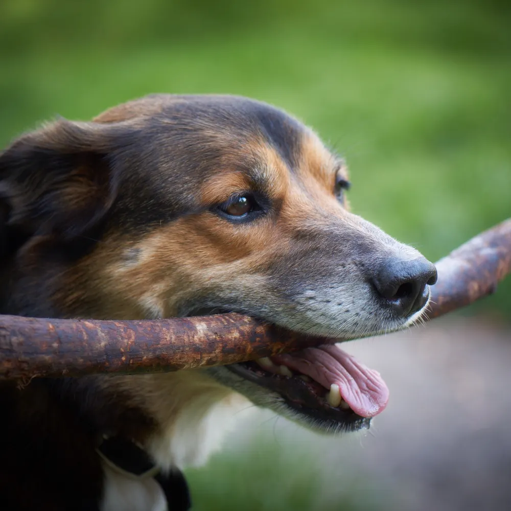 bettysears.bsky.social's profile picture