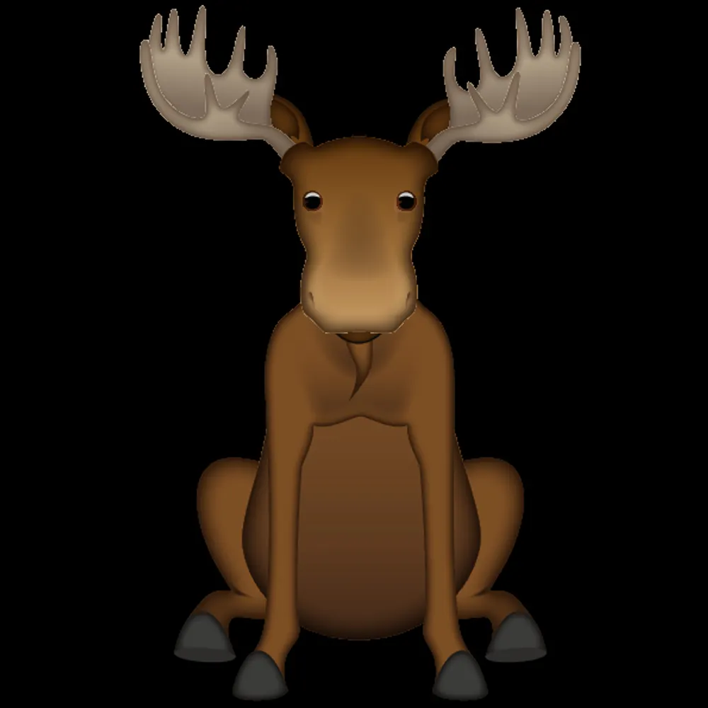 rhondawolfson.bsky.social's profile picture