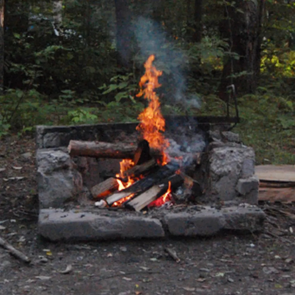 cmu2401.bsky.social's profile picture