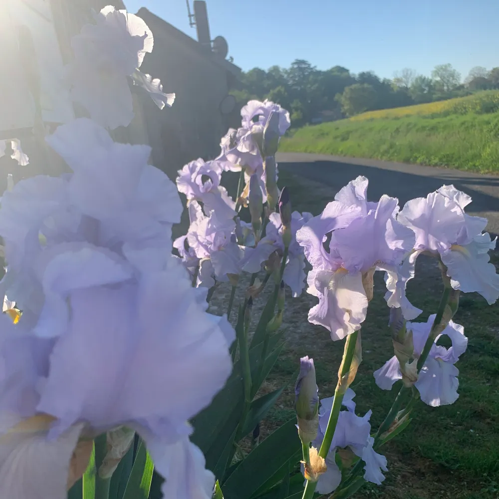 machurley1er.bsky.social's profile picture