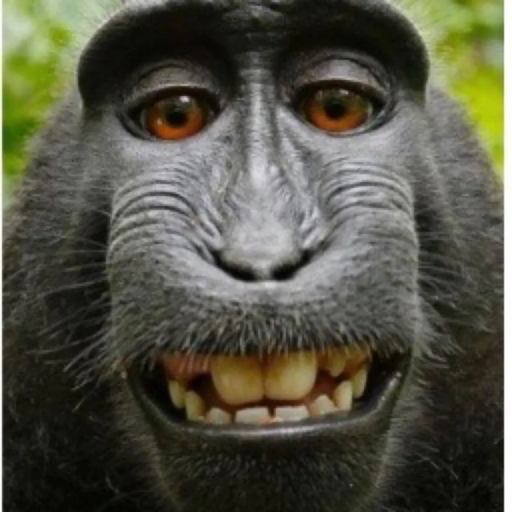 gekko.bsky.social's profile picture