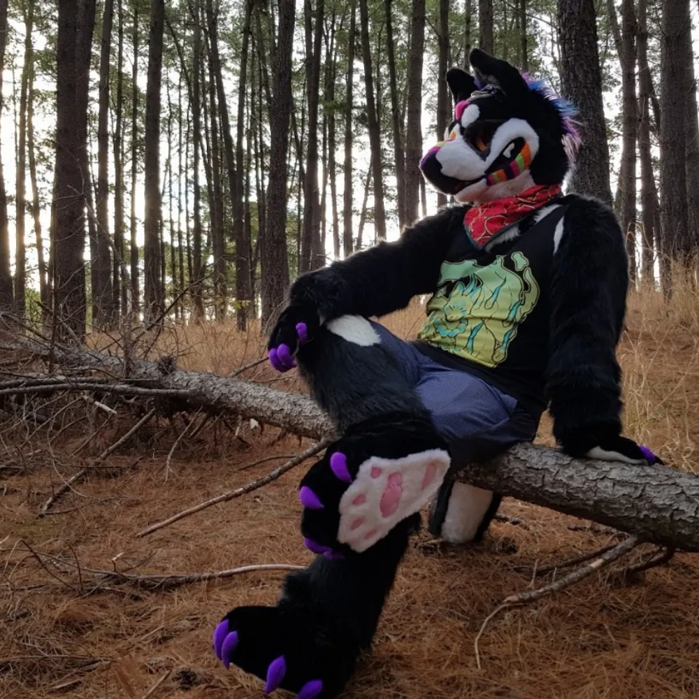 ravebatwolf.bsky.social's profile picture