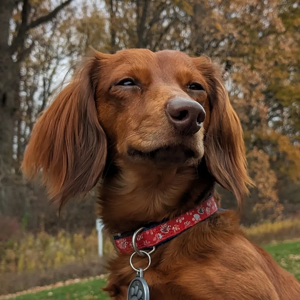 aliveagain.bsky.social's profile picture