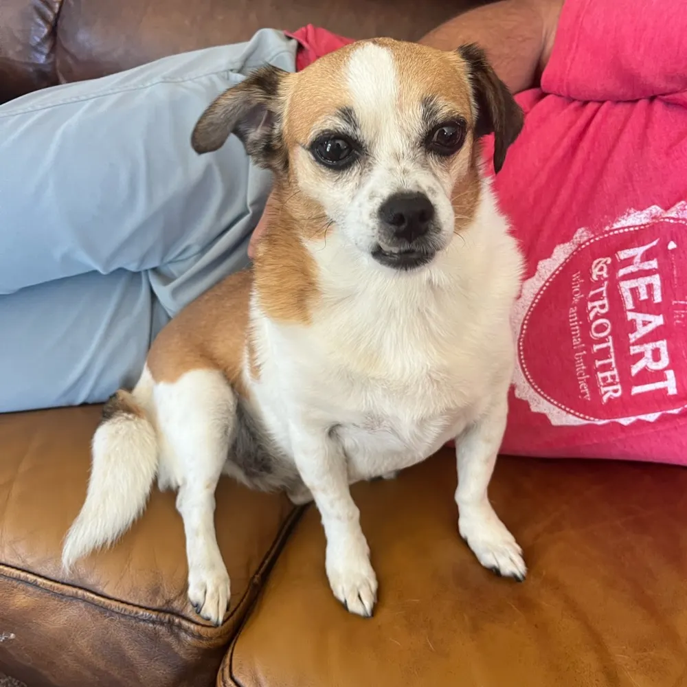 cbal84.bsky.social's profile picture