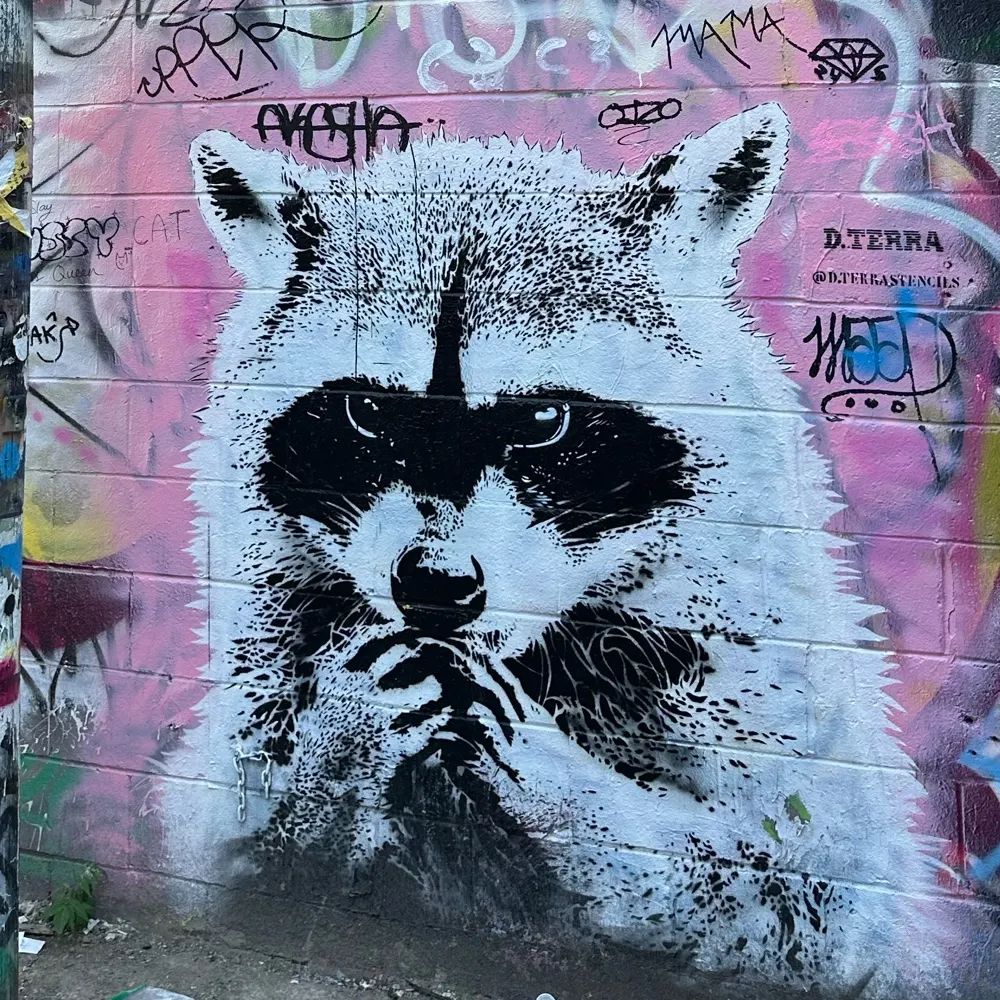 greenbomb.bsky.social's profile picture