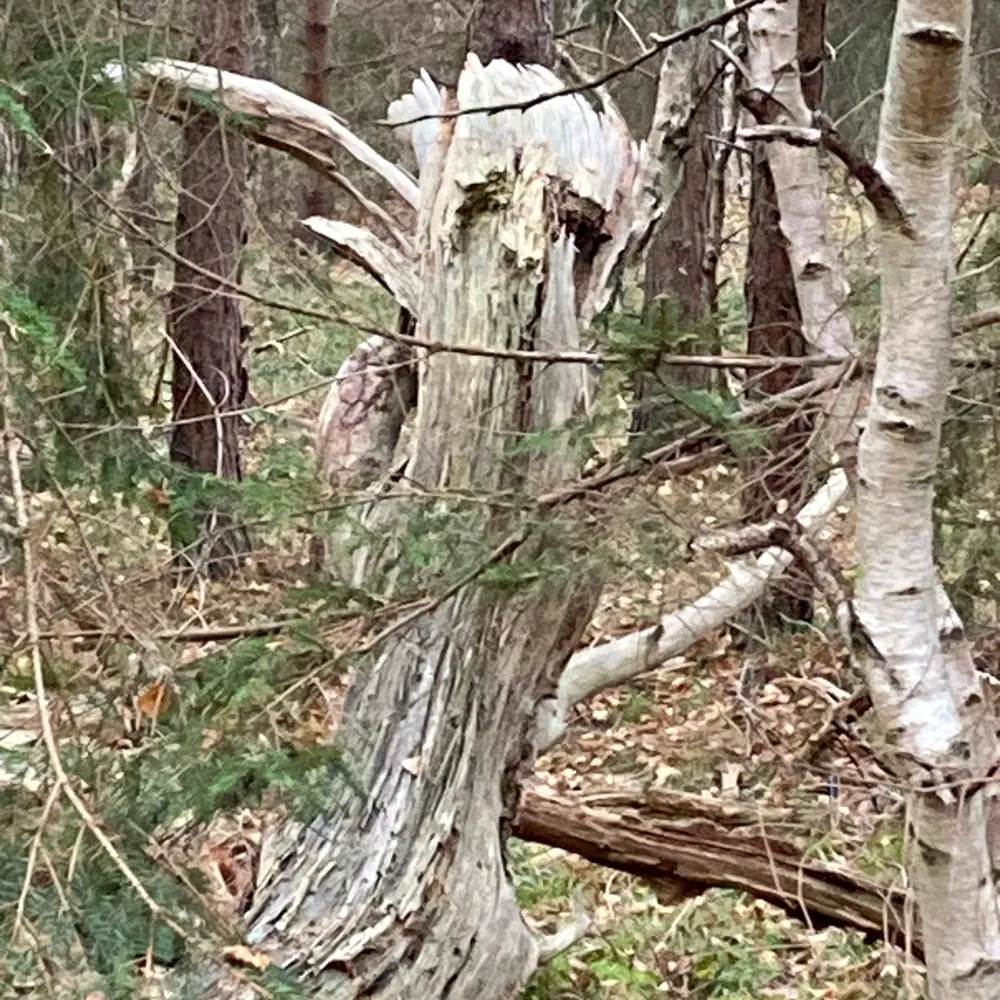 brix2665.bsky.social's profile picture